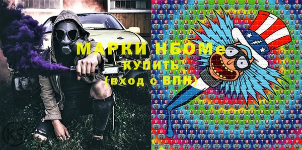 шишки Горно-Алтайск