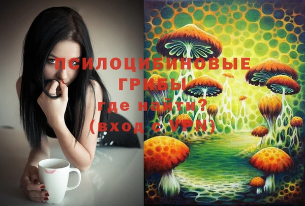mix Горнозаводск