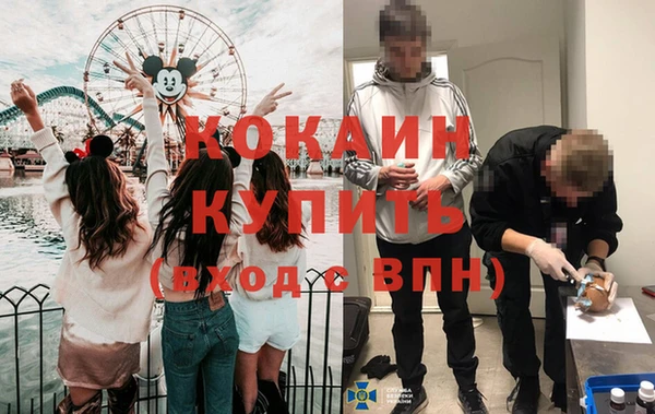 крисы Вязьма