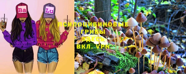 крисы Вязьма