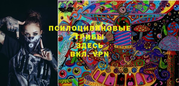 mix Горнозаводск