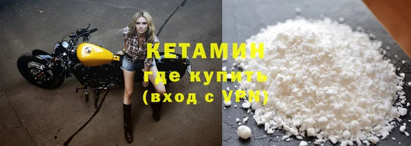 крисы Вязьма